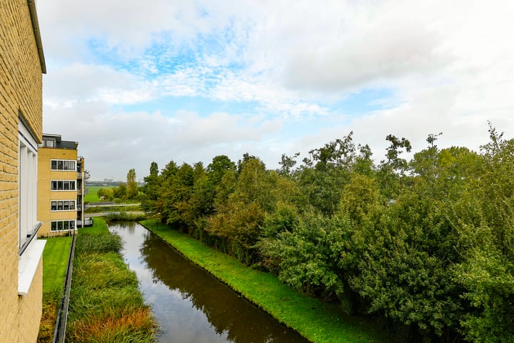 Photo 4 of Frans Hals 9