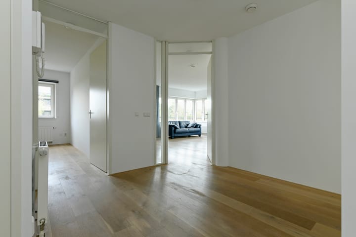 Photo 6 of Frans Hals 9