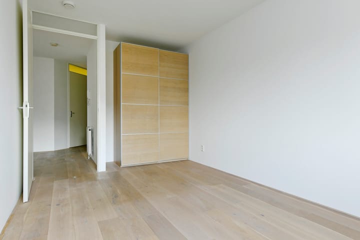 Photo 8 of Frans Hals 9