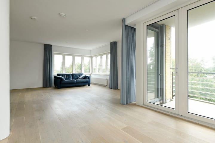 Photo 9 of Frans Hals 9