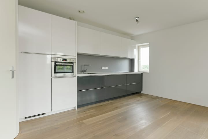 Photo 12 of Frans Hals 9