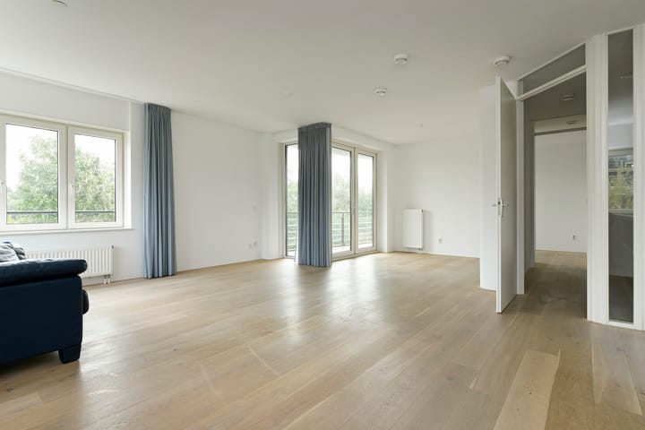 Photo 13 of Frans Hals 9