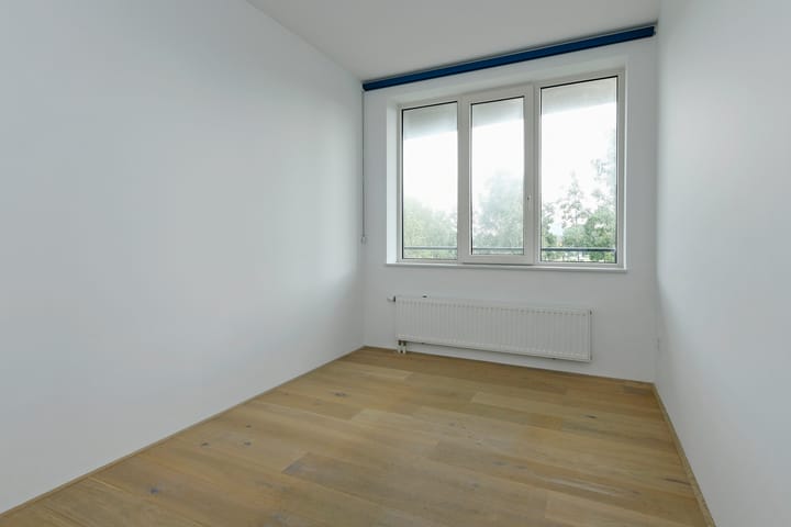 Photo 15 of Frans Hals 9