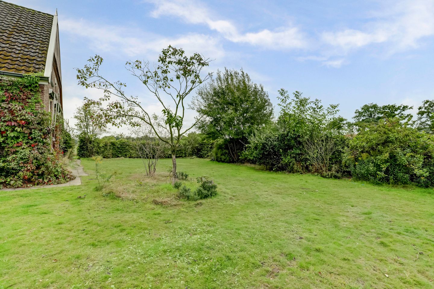 Foto 4 van Lemmenesweg 2