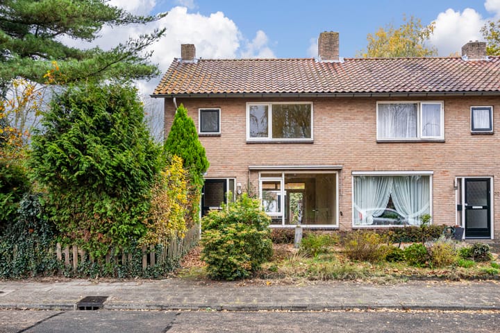 Willem Lodewijklaan 32