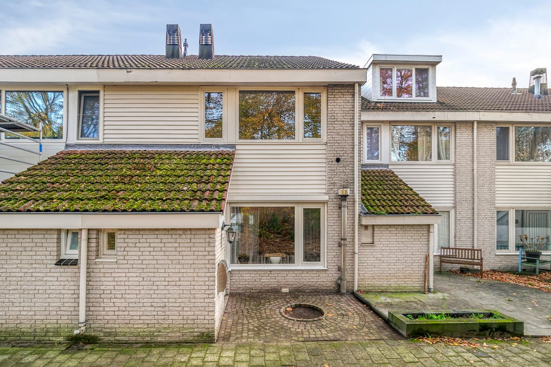 Foto 1 van Rode Beuk 6