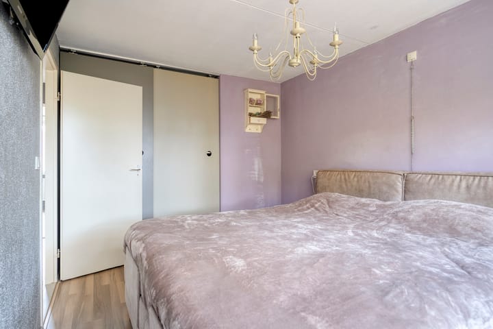 Photo 15 of Rode Beuk 6