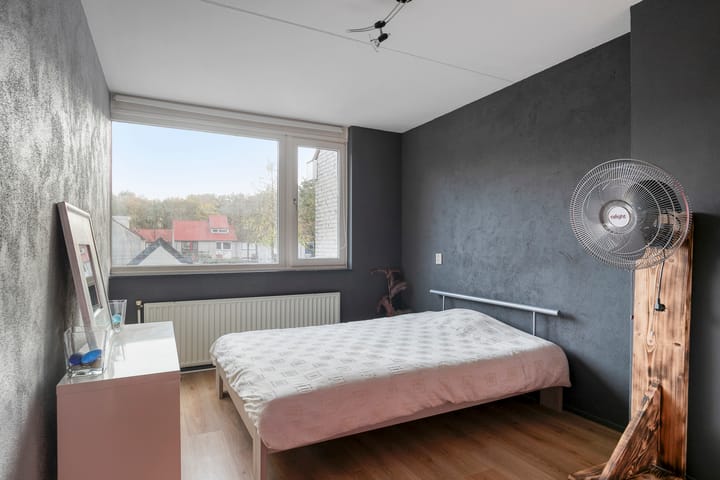 Photo 17 of Rode Beuk 6