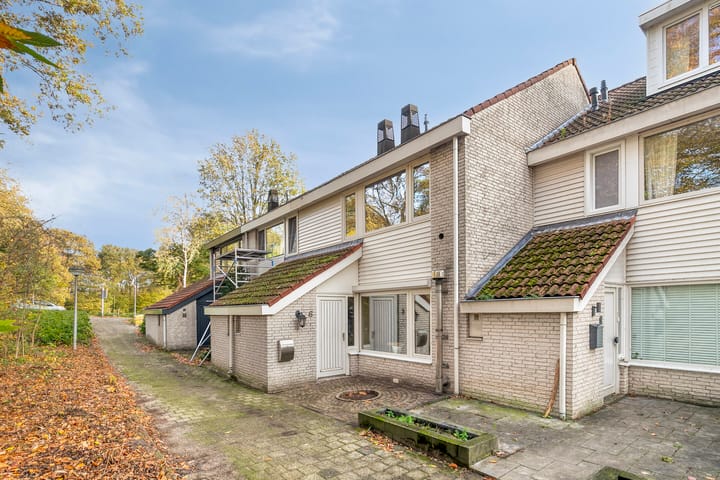 Photo 33 of Rode Beuk 6