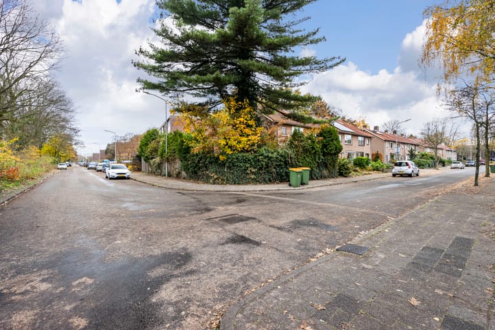 Foto 26 van Willem Lodewijklaan 32