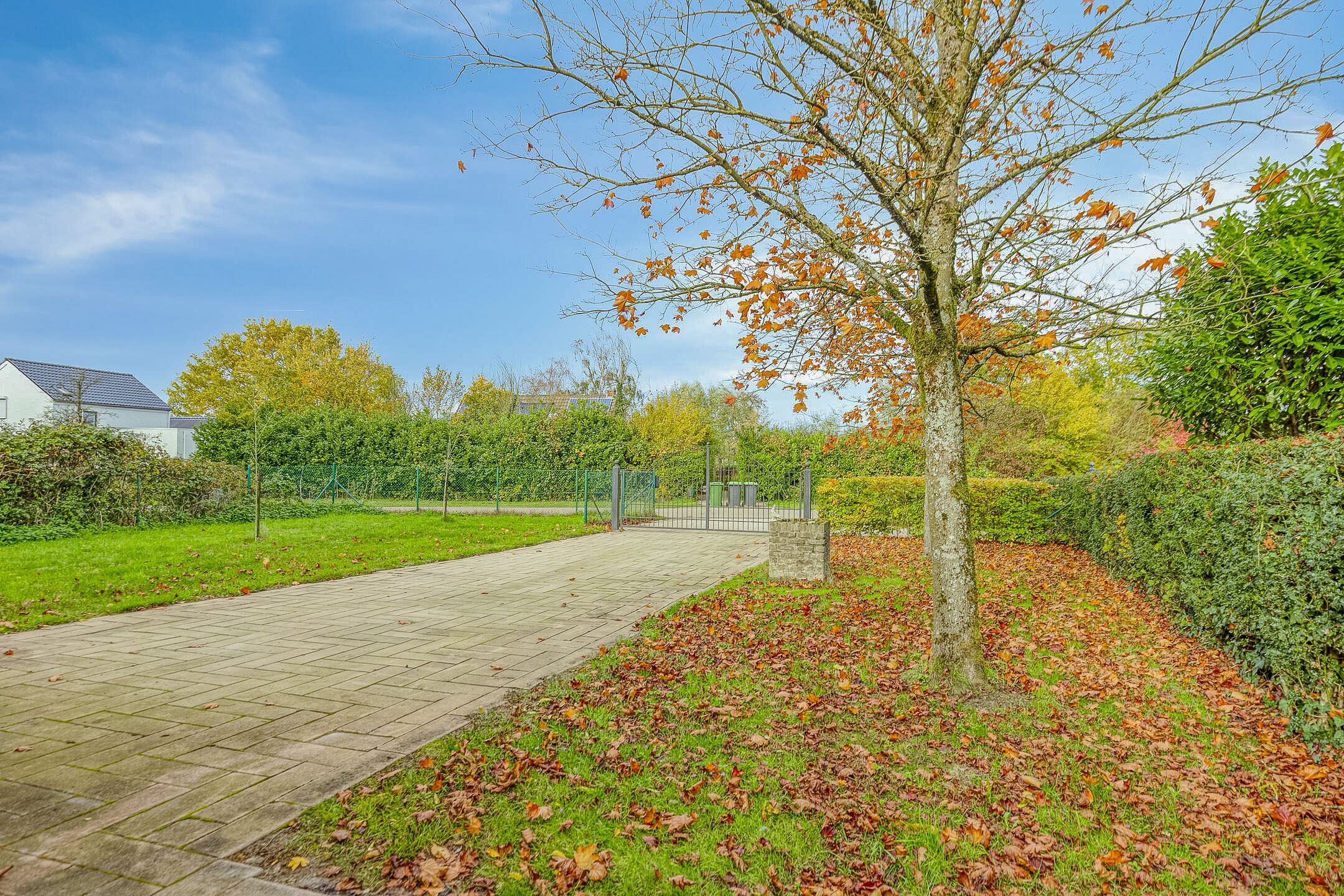 Foto 48 van Matthijsstraat 24