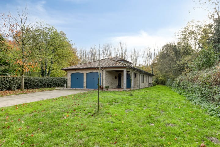 Foto 46 van Matthijsstraat 24