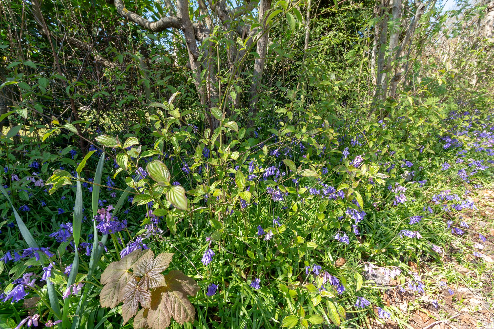 Photo 21 of Westerduinweg 34-H183