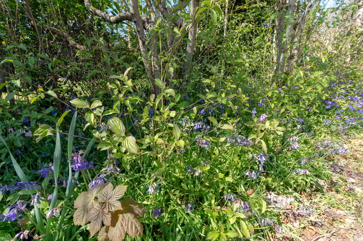 Photo 21 of Westerduinweg 34-H183