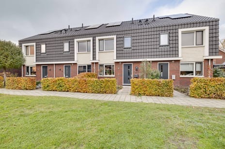 Kleine Pimpernel thumbnail