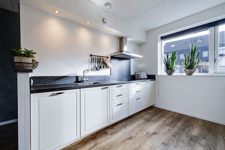 Photo 11 of Kleine Pimpernel 7