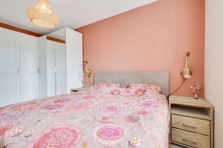 Photo 15 of Kleine Pimpernel 7