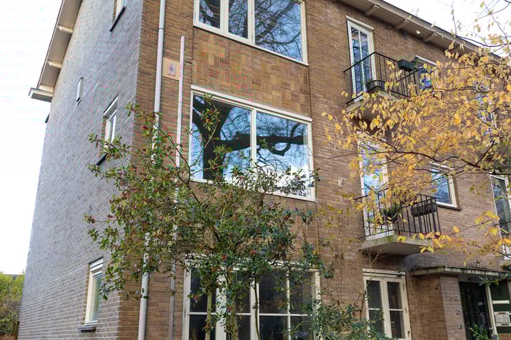 Bosdrift 210 main image