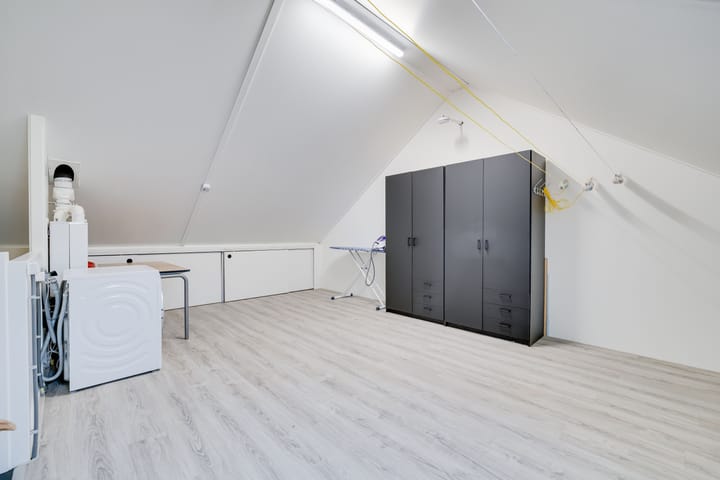 Photo 24 of Kleine Pimpernel 7