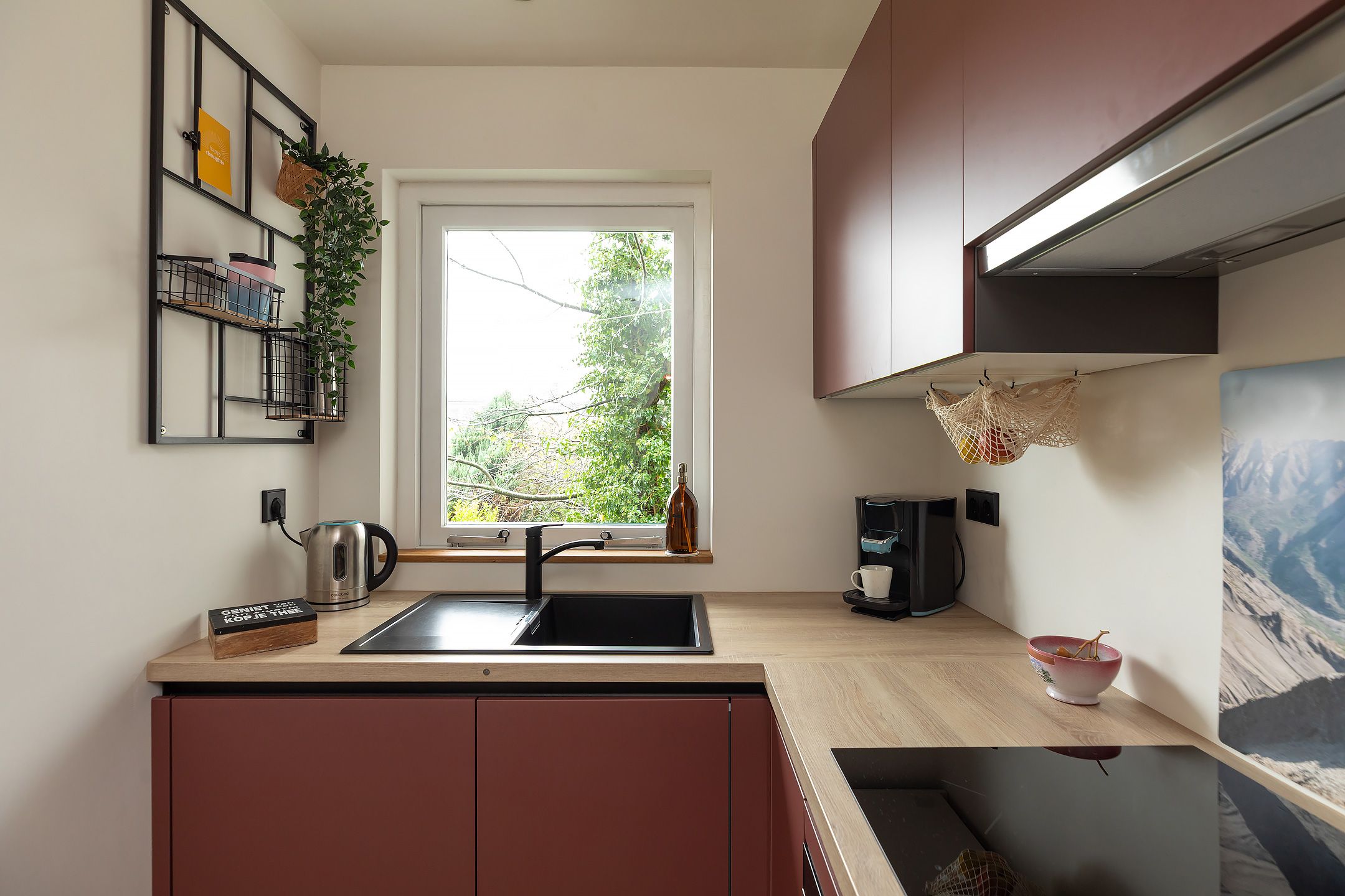 Foto 9 van Bosdrift 210