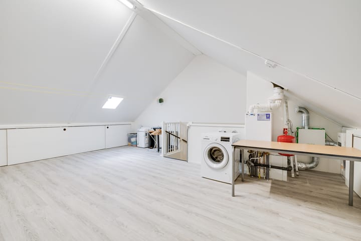 Photo 25 of Kleine Pimpernel 7