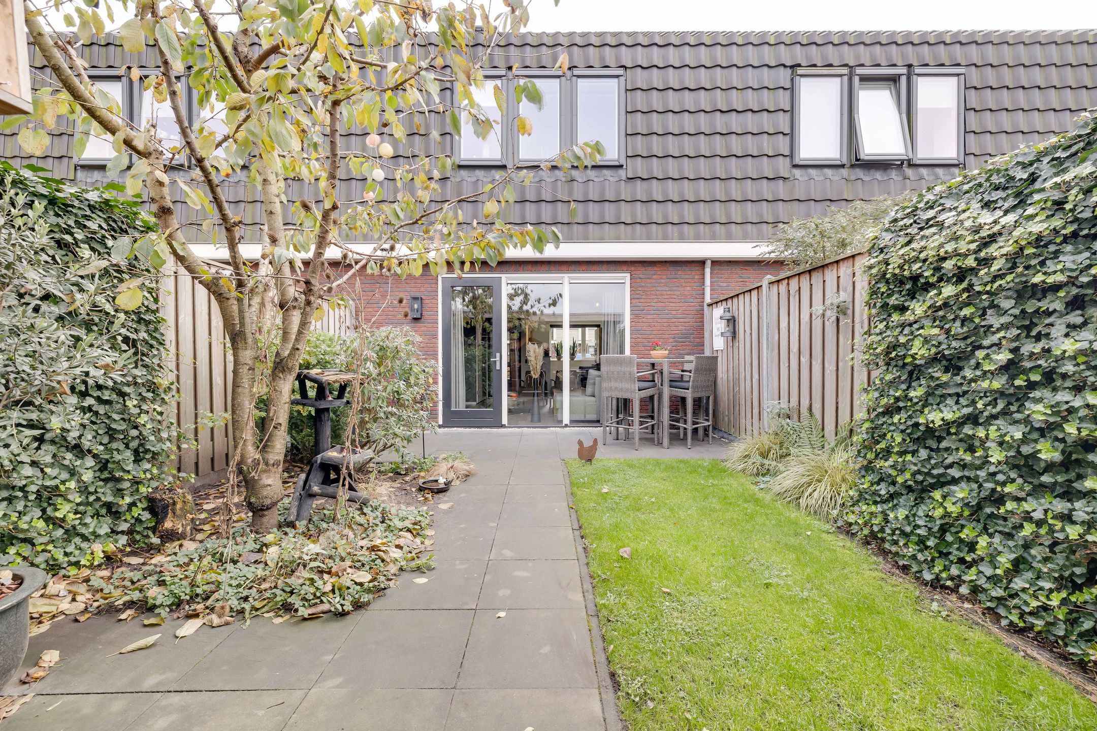 Foto 27 van Kleine Pimpernel 7