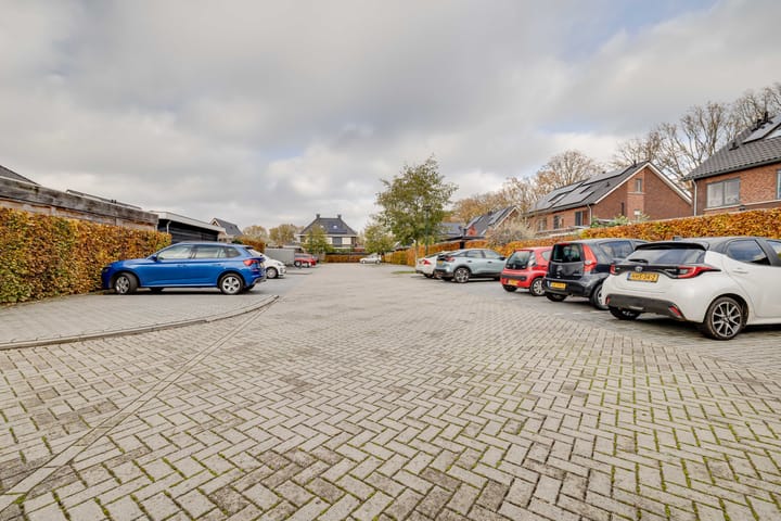 Photo 29 of Kleine Pimpernel 7