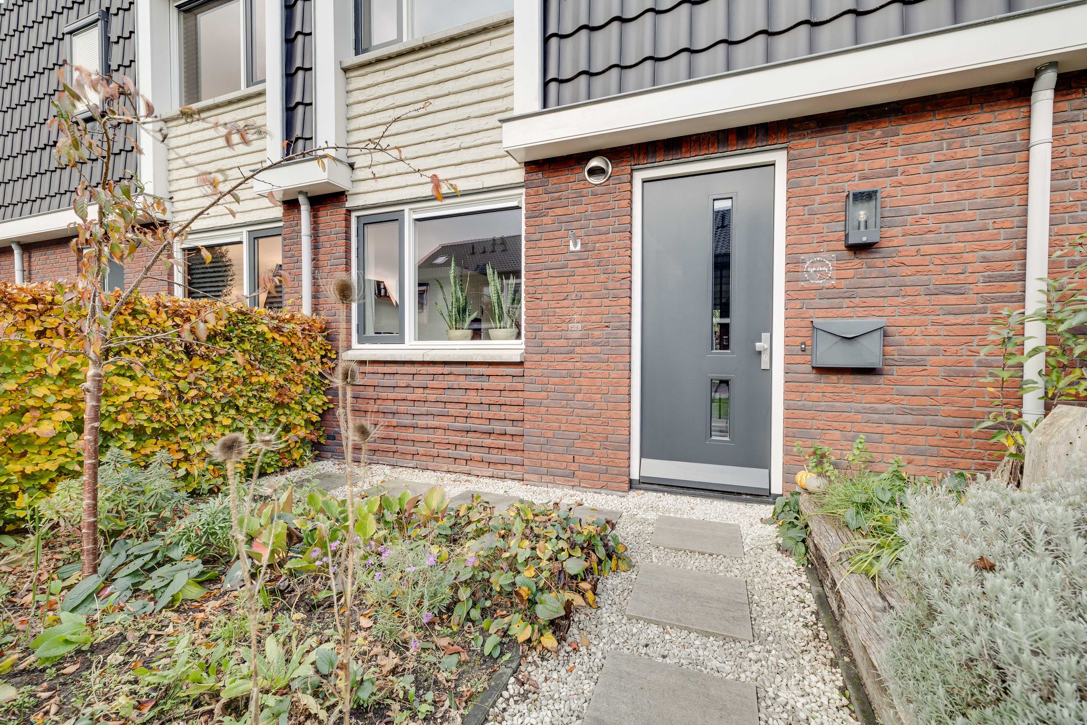 Foto 30 van Kleine Pimpernel 7