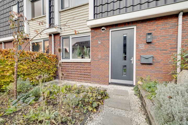 Photo 30 of Kleine Pimpernel 7