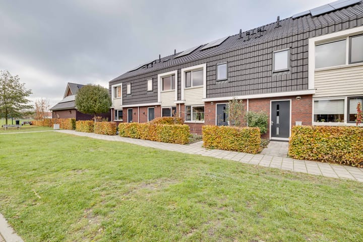 Photo 31 of Kleine Pimpernel 7