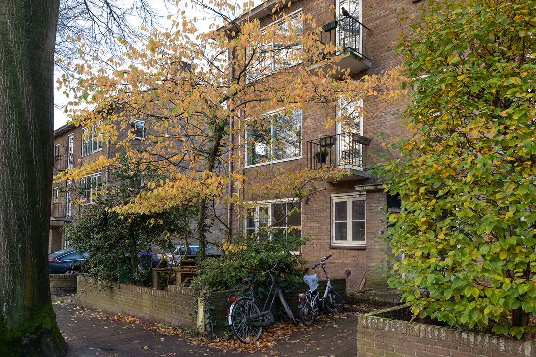 Foto 16 van Bosdrift 210