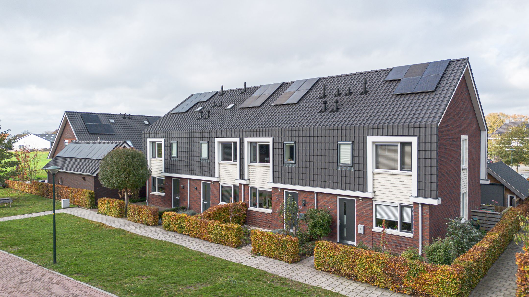 Foto 33 van Kleine Pimpernel 7