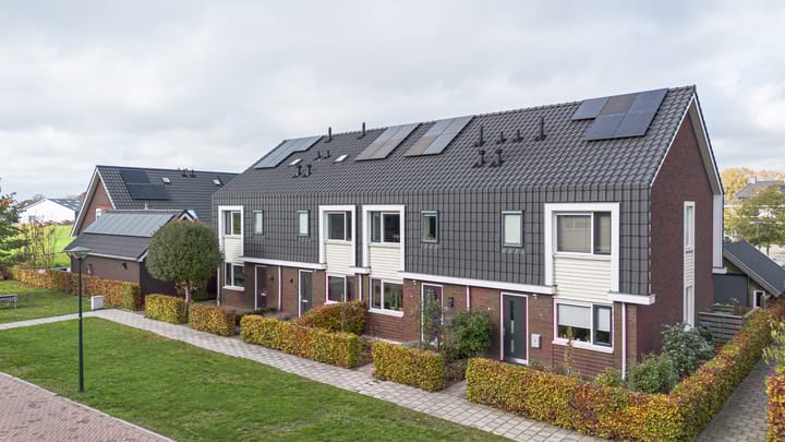 Photo 33 of Kleine Pimpernel 7