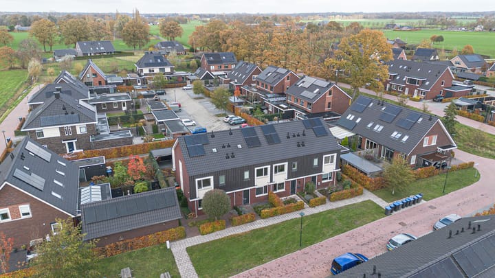 Photo 34 of Kleine Pimpernel 7