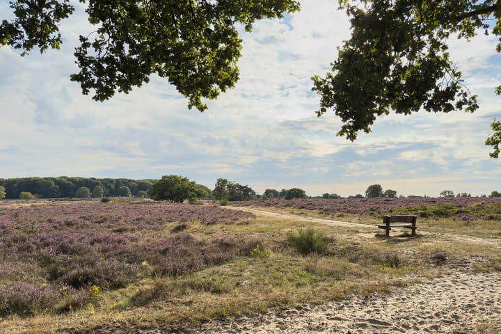 Photo 18 of Bosdrift 210