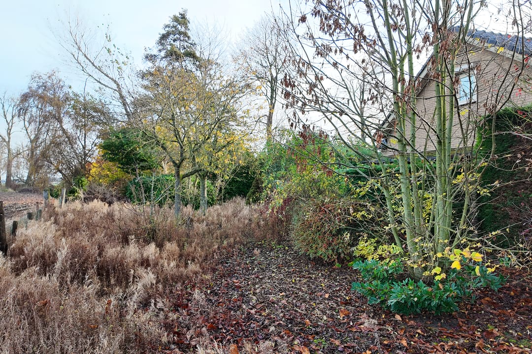 Foto 58 van Pootweg 9