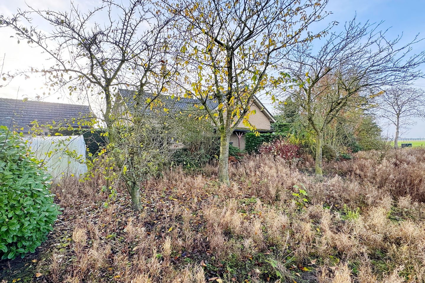 Foto 59 van Pootweg 9