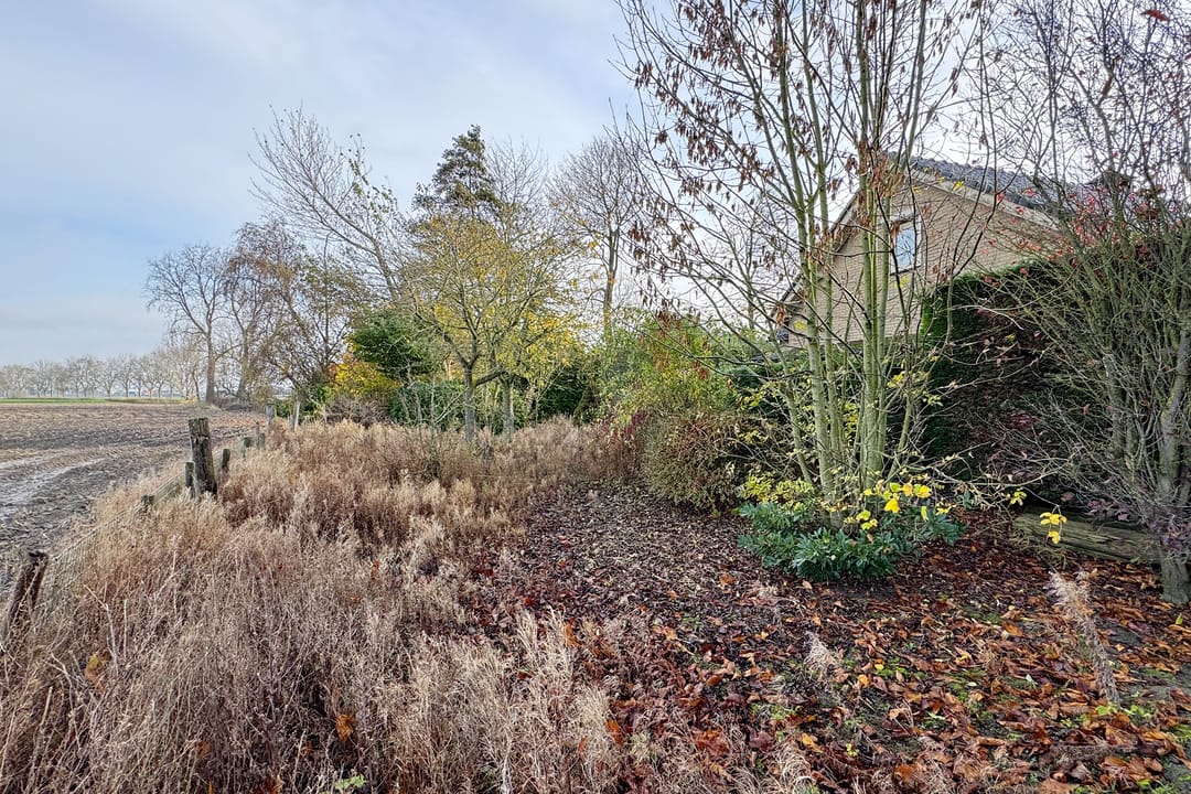 Foto 61 van Pootweg 9