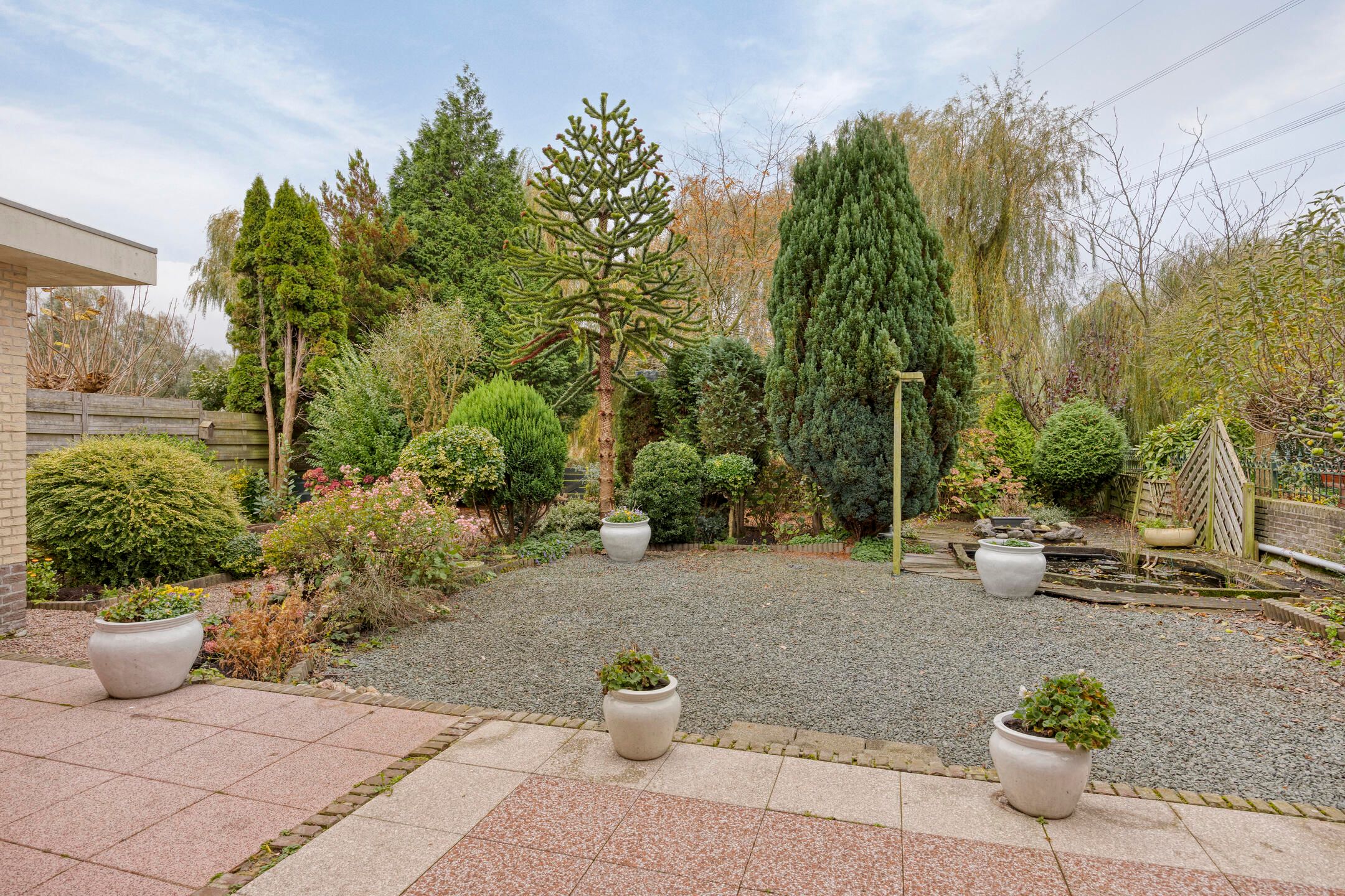 Foto 15 van Kievit 5