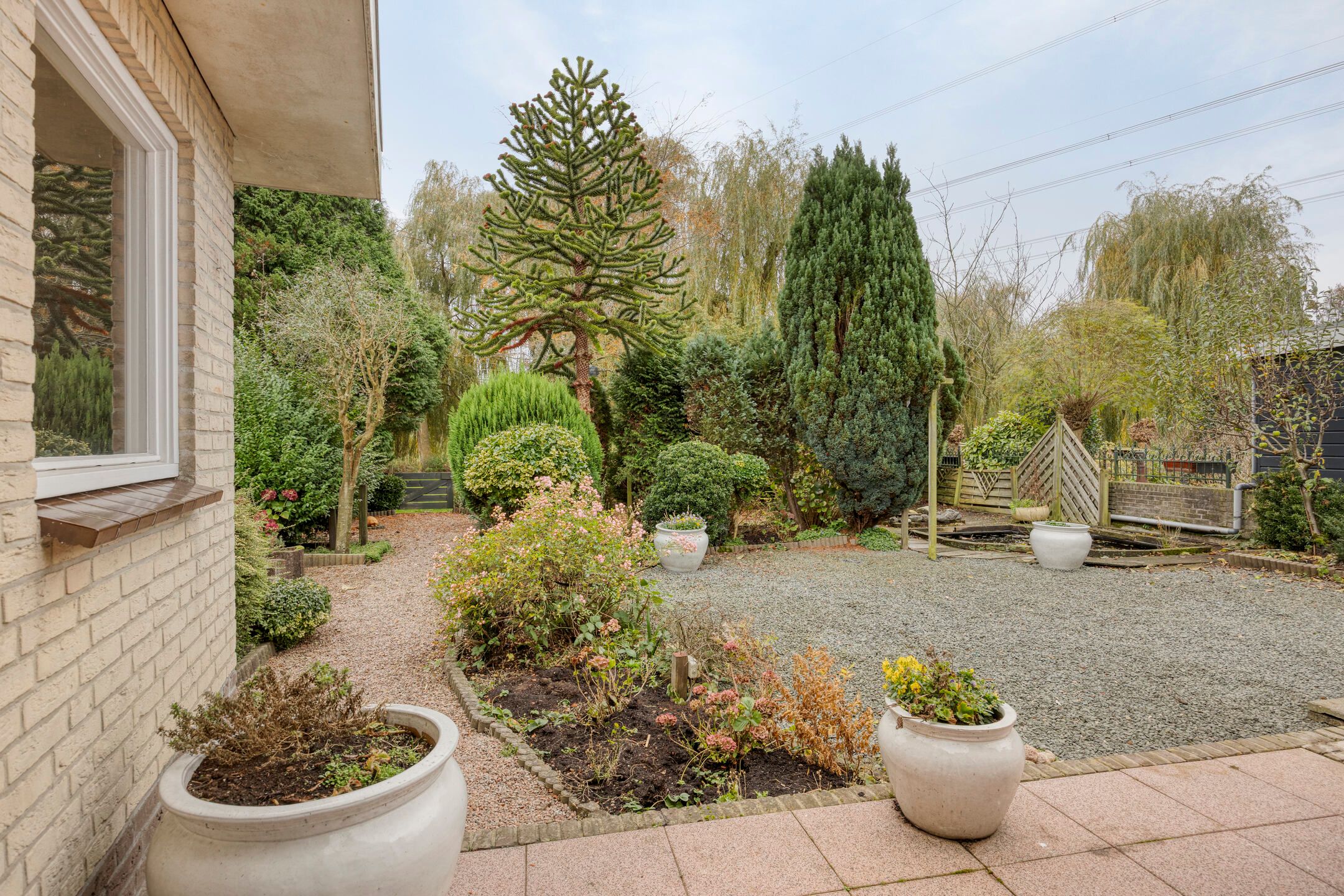 Foto 12 van Kievit 5