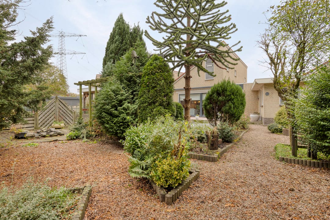 Foto 17 van Kievit 5