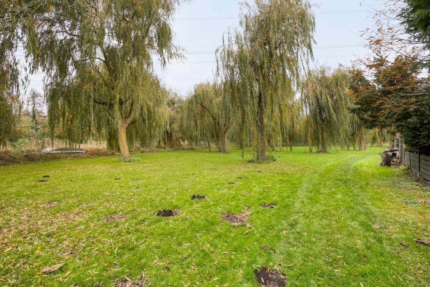 Foto 49 van Kievit 5