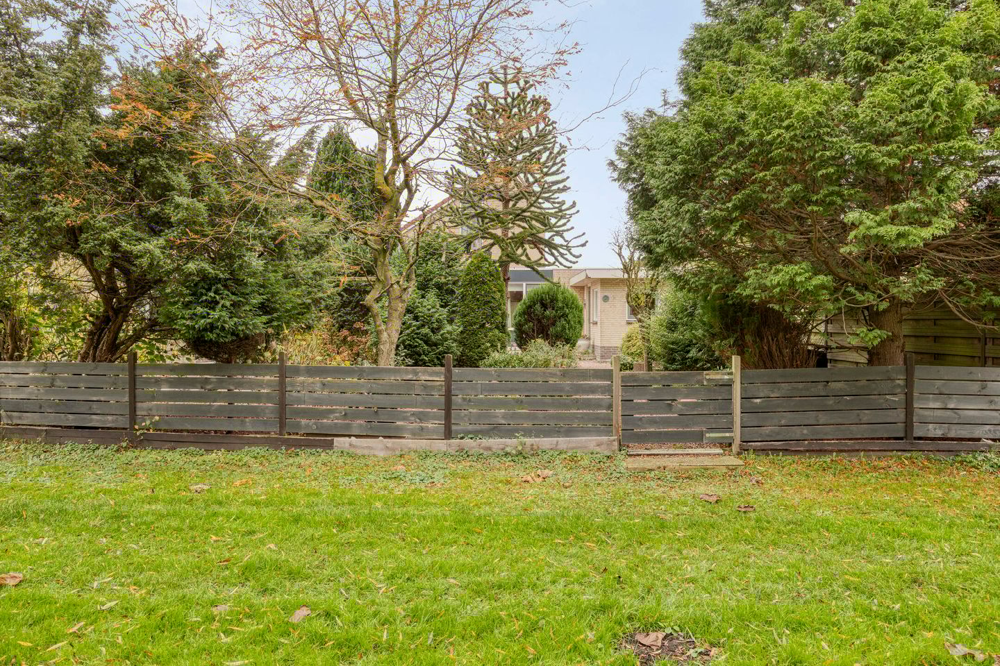 Foto 50 van Kievit 5