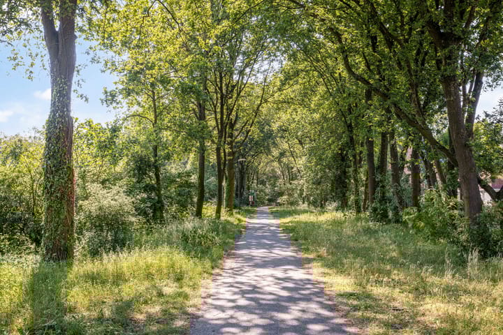 Foto 50 van Elzenseloop 20