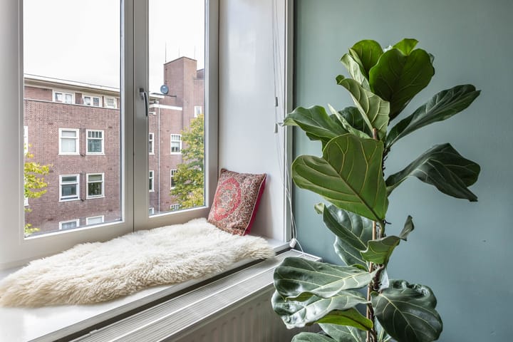 Photo 9 of Stolwijkstraat 53-3