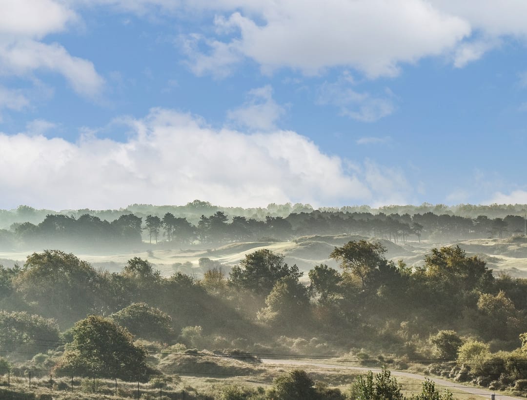 Foto 13 van Galileistate 71