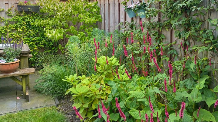 Photo 38 of Brouwerijweg 104