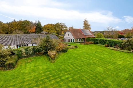 undefined main image