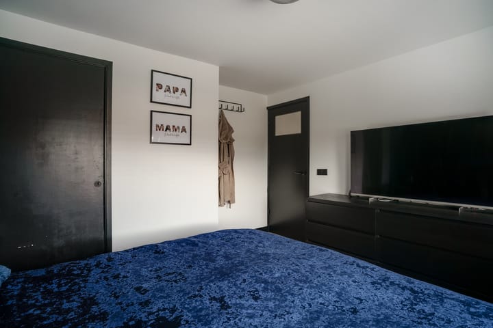 Photo 38 of Van de Loostraat 40