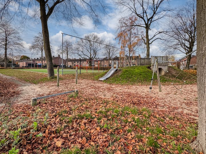 Photo 44 of Van de Loostraat 40